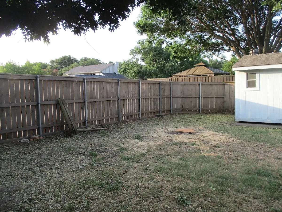 Cleared yard after professional tree removal in Little Sioux